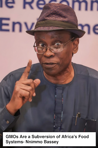 Nnimmo Bassey